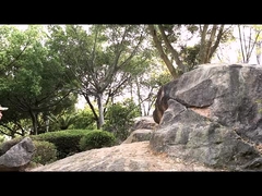 戦術 的 安全 靴